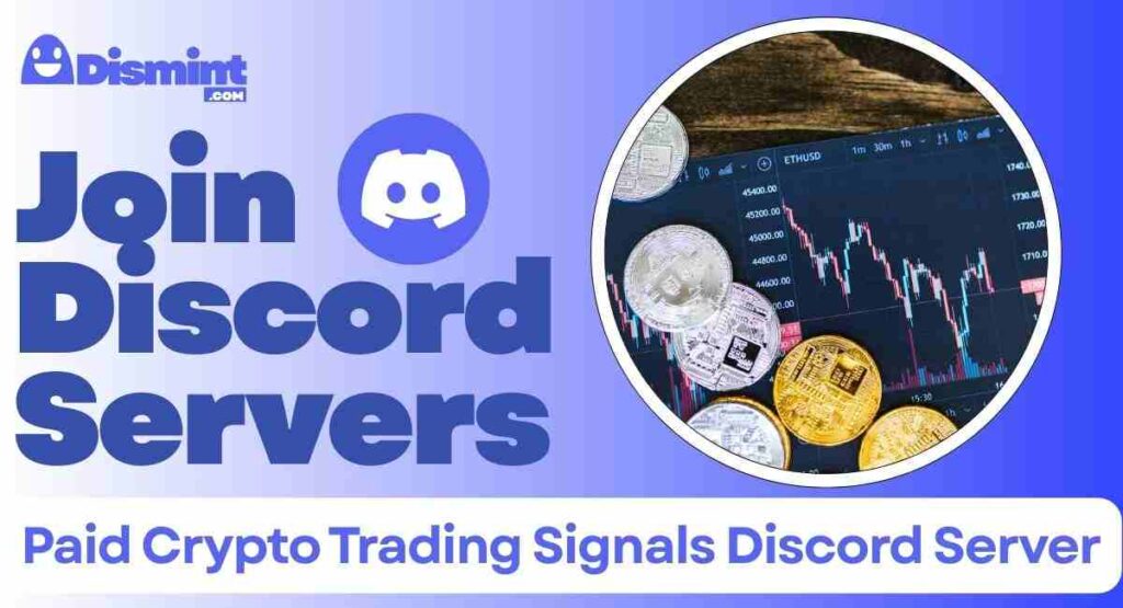 Paid Crypto Trading Signals Discord Server